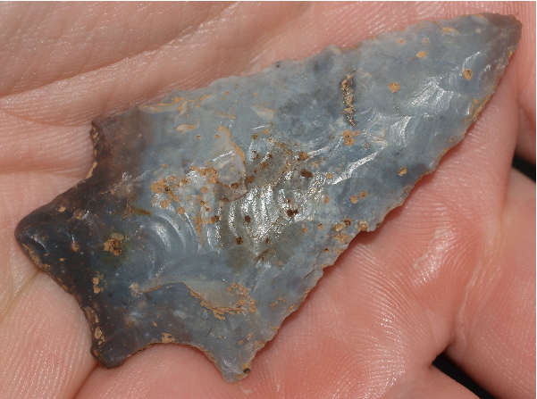 Kirk Arrowhead
