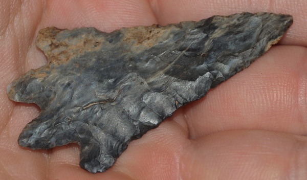bifurcate arrowhead