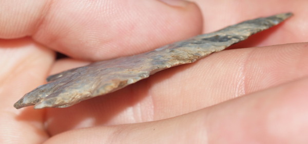 bifurcate arrowhead