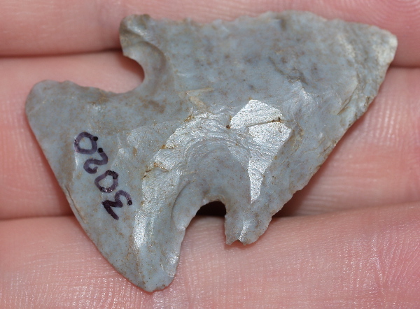 Thebes Arrowhead
