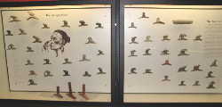 Tremper Mound Pipes